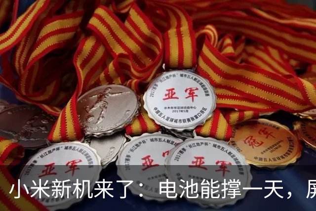 小米新机来了：电池能撑一天，屏幕亮得让人晕！