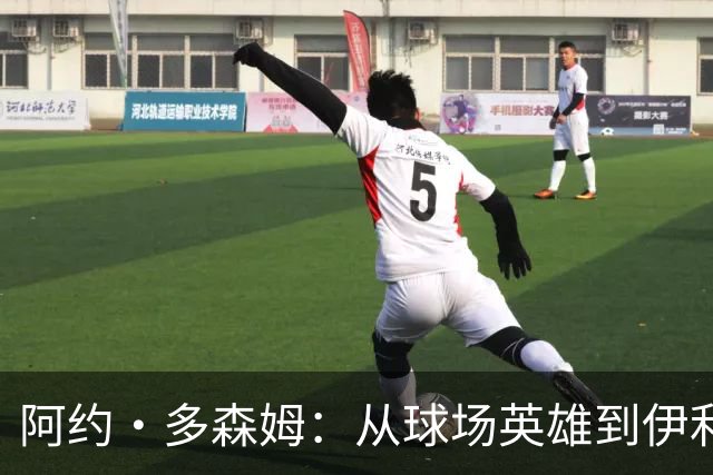 阿约·多森姆：从球场英雄到伊利诺伊传奇的华丽转身